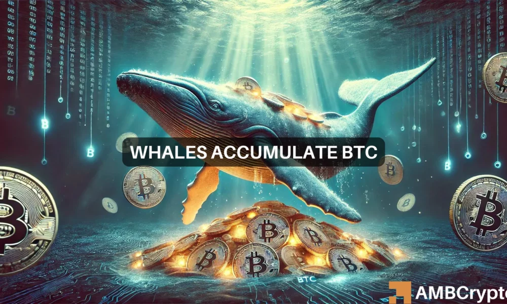 BTC whales accumulate 2814 Bitcoins worth $157.3 million