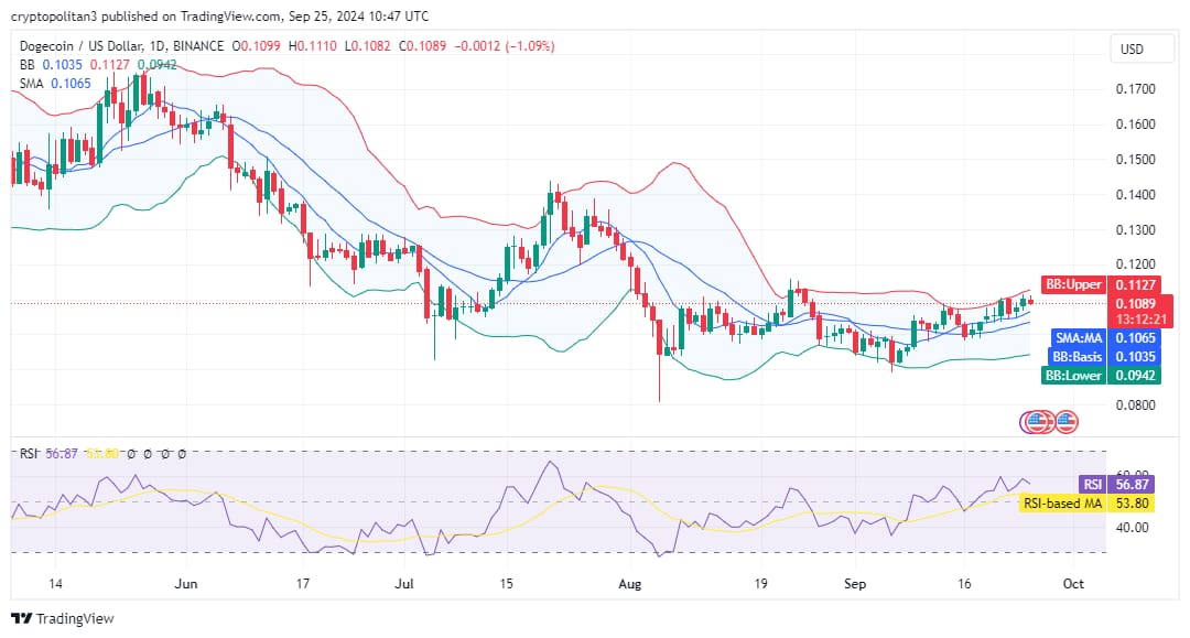 Dogecoin price prediction 2024-2030: DOGE to the moon?