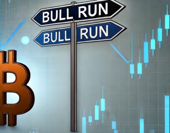 Here Is Why The Bitcoin Bull Run Hasn’t Started, According To Analyst