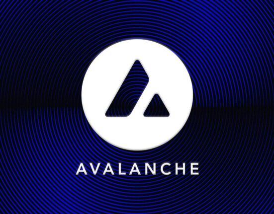 ParaFi Capital tokenizes portion of $1 billion venture funding on Avalanche via Securitize