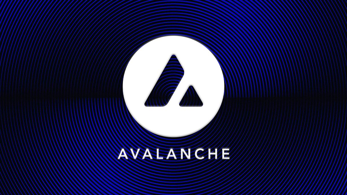 ParaFi Capital tokenizes portion of $1 billion venture funding on Avalanche via Securitize