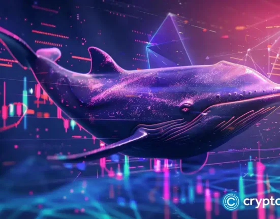 Reasons why crypto whales are on XRP, Solana, and Rollblock buying spree