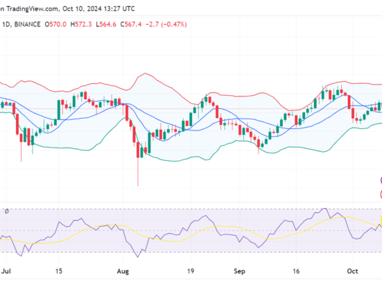 Binance coin price prediction 2024-2030: Is BNB ready for the bull run?