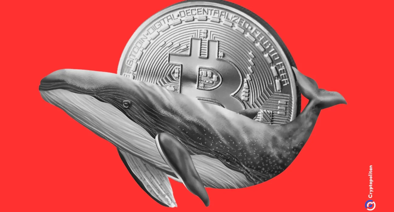 Bitcoin whale with 10,158 BTC scoops up more coins despite losing $46 million