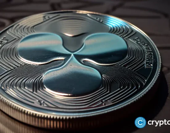 Ripple hits back at SEC, files cross-appeal