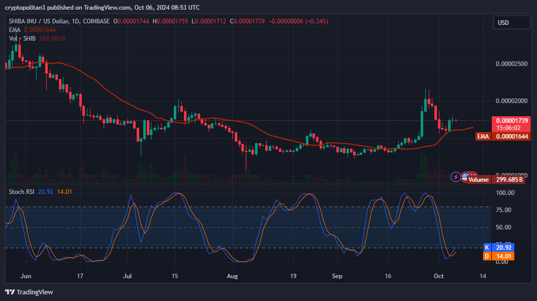 Shiba Inu coin price prediction 2024-2030: Is SHIB skyrocketing soon?