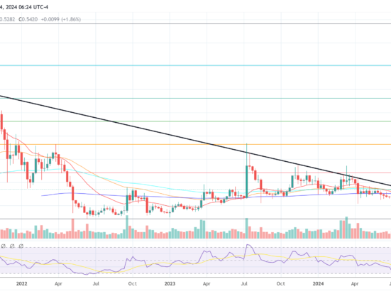 XRP price