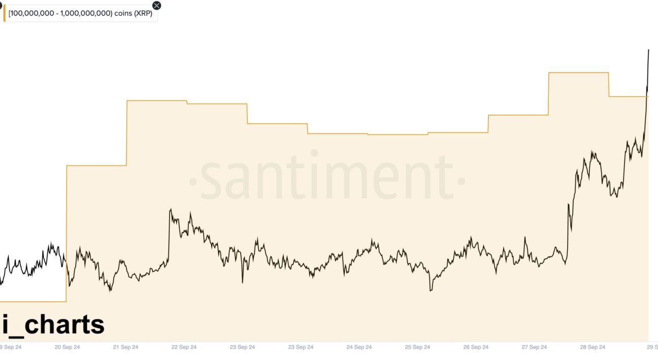 XRP Whales