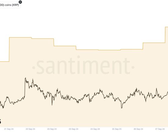 XRP Whales