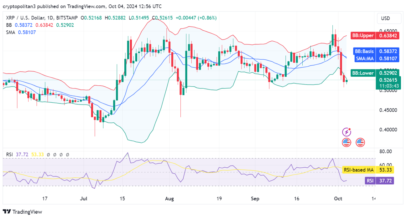 XRP price prediction 2024-2030: Will XRP reach $1?