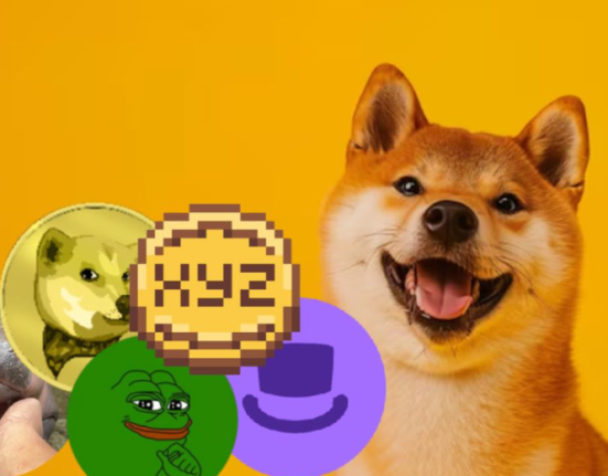 Comment on Your 2025 Crypto Picks: These 5 Coins Could Follow in Shiba Inu’s Footsteps! by Moo Deng MOODENG: Top-Quality Footwear Essentials