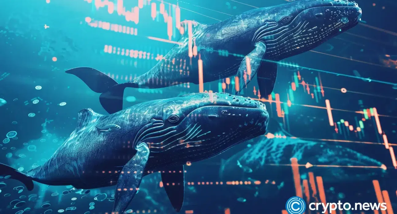 Crypto whales secretly accumulate these 4 coins for 5,000% gains