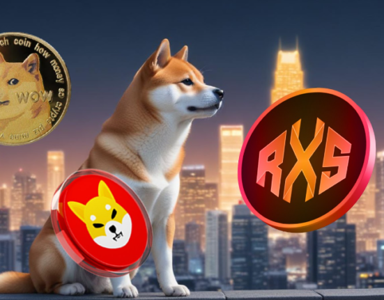 In 2021, Dogecoin and Shiba Inu Could Turn $566 into $56600 in Just 3 Months, This $0.08 Token Can Deliver Similar Gains