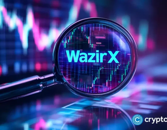 Inside job or cover-up? New accusations add fuel to the WazirX controversy